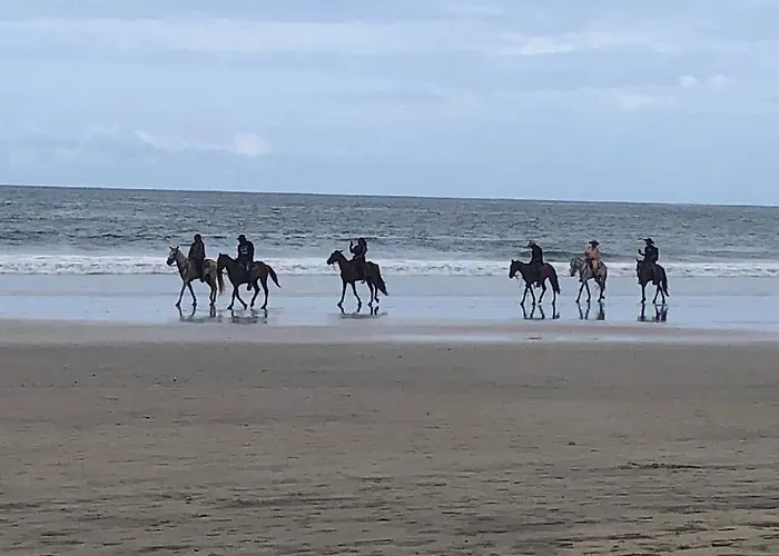 Casa Del Oeste, Playa Avellanas House